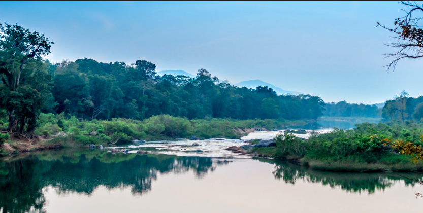 A Rare, Pristine Estuary Comes Under Threat in Karnataka - The Wire