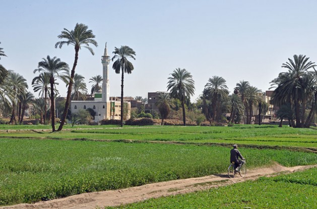 mideast  growing urbanisation worsens water scarcity  food imports