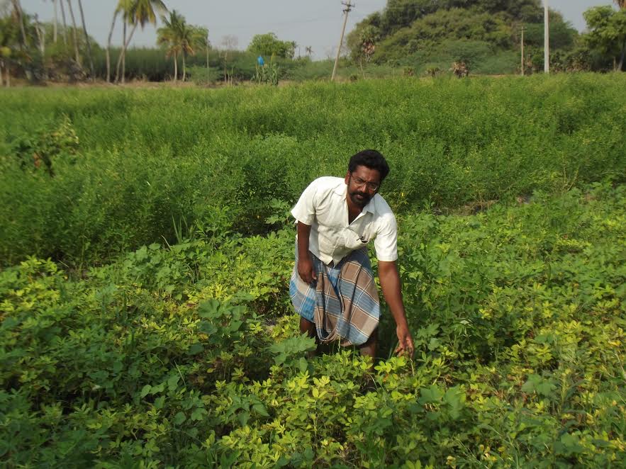 farmer’s notebook  how changing cropping pattern can help mitigate loss