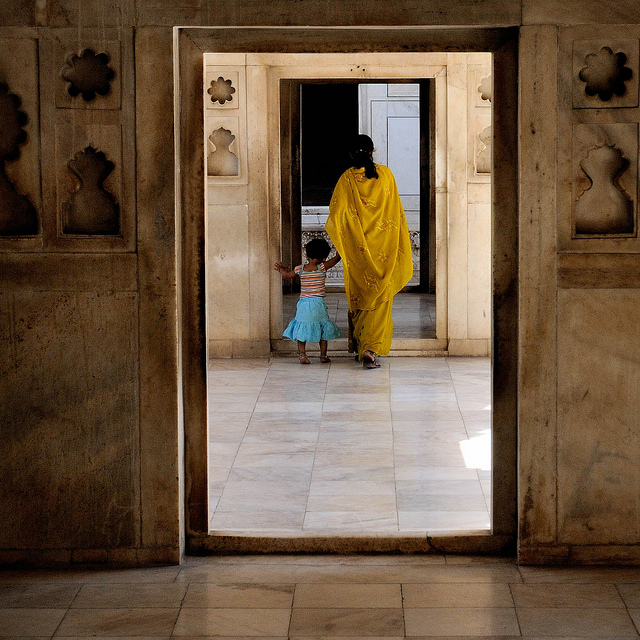 name place animal thing  getting the low down on high brow motherhood and surrogacy