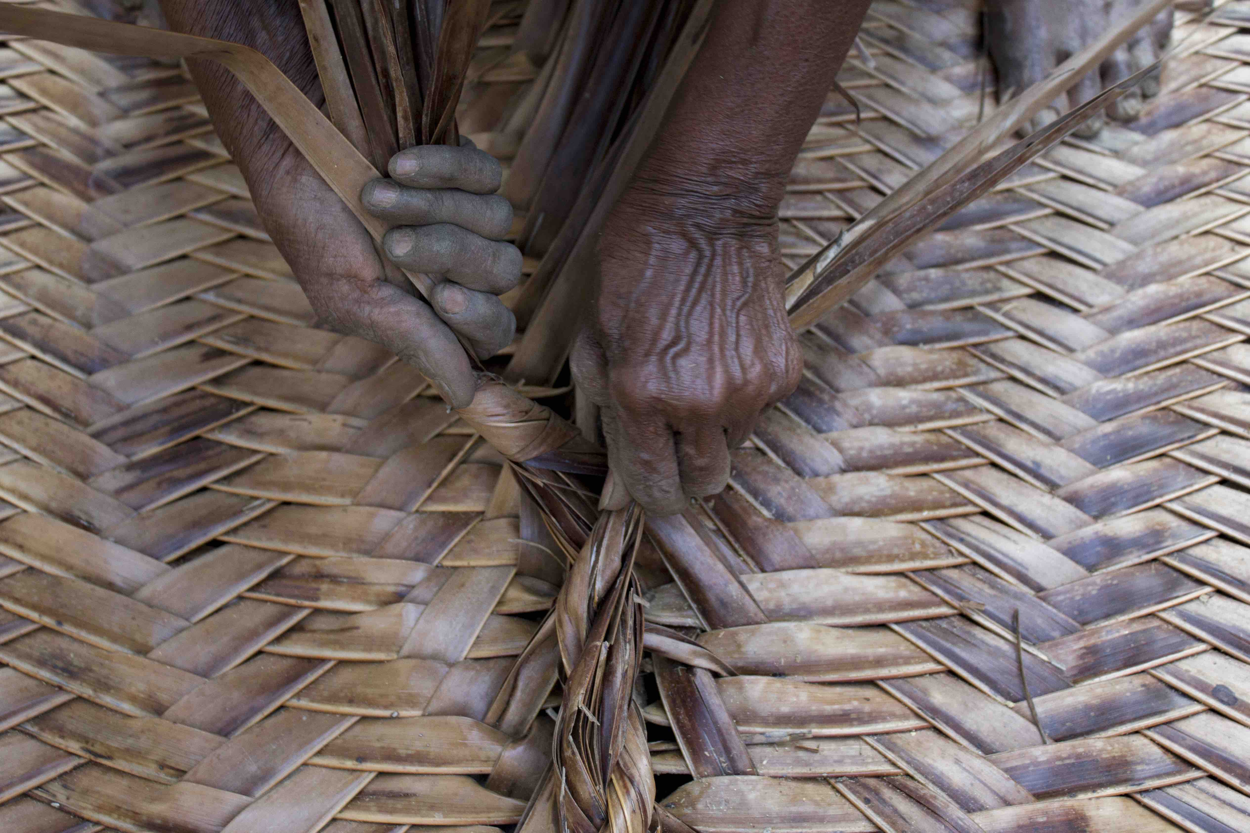 Kannadiakka at work. Credit: Kombai Arun