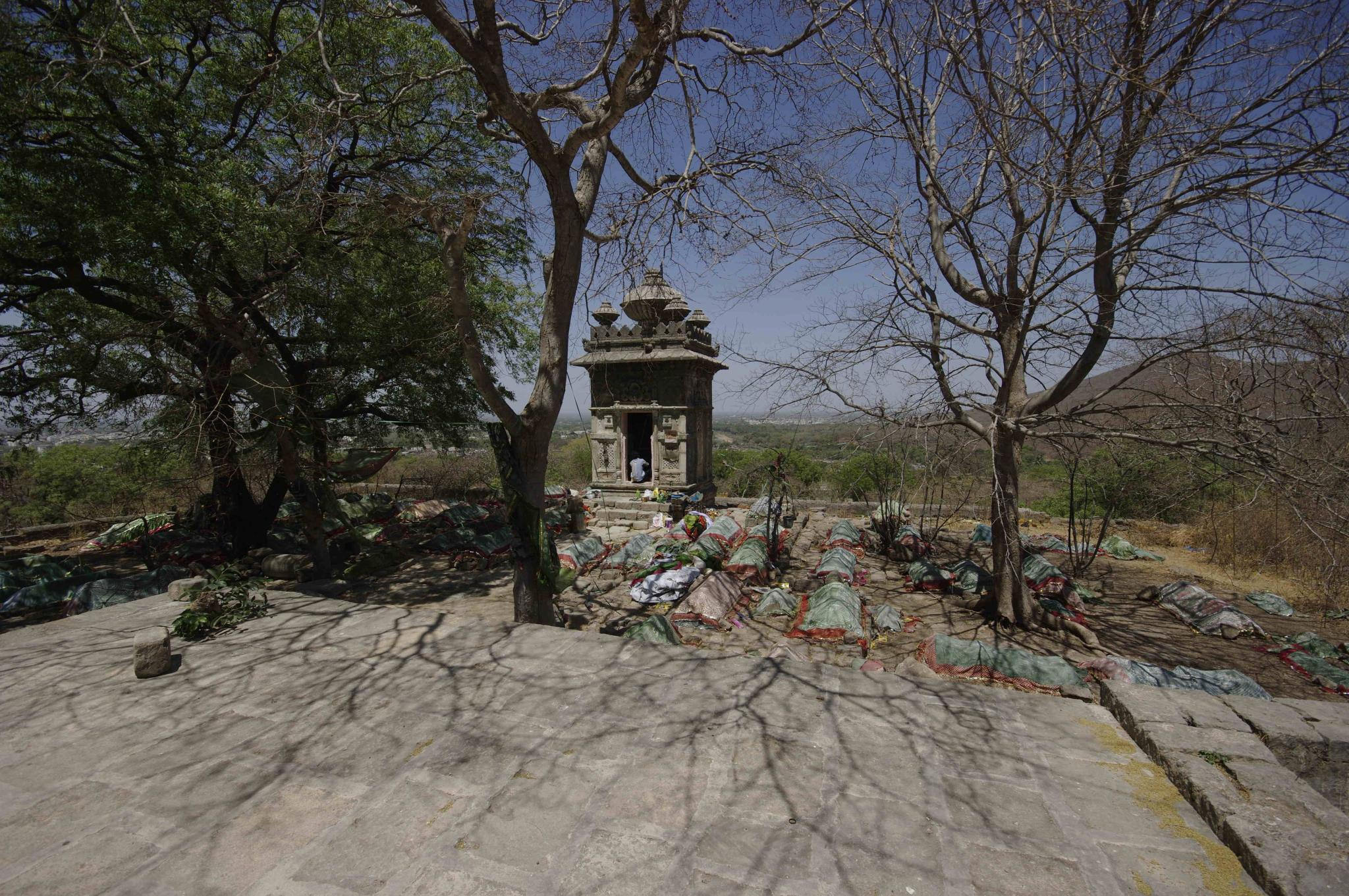 the poetic realism of arundhati roy