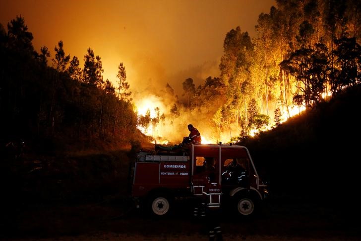 portugal  death toll from forest fire climbs to 62