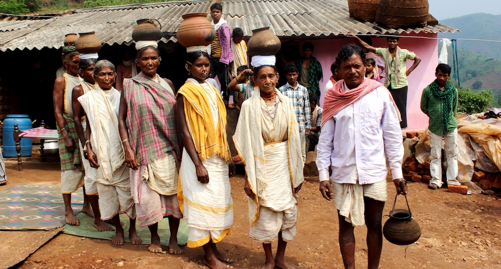 the journey of the humble millet from tribal farms to dinner tables