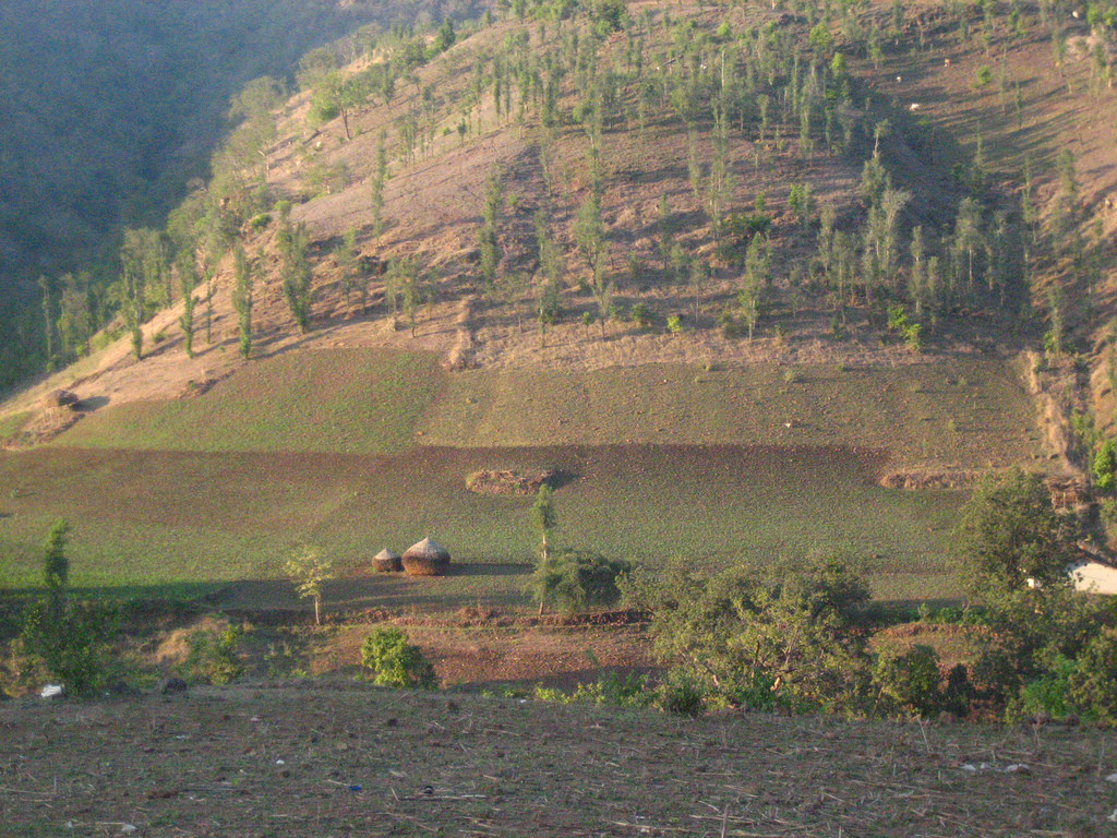 modi government s environment policy endorses everything that bodes well for business