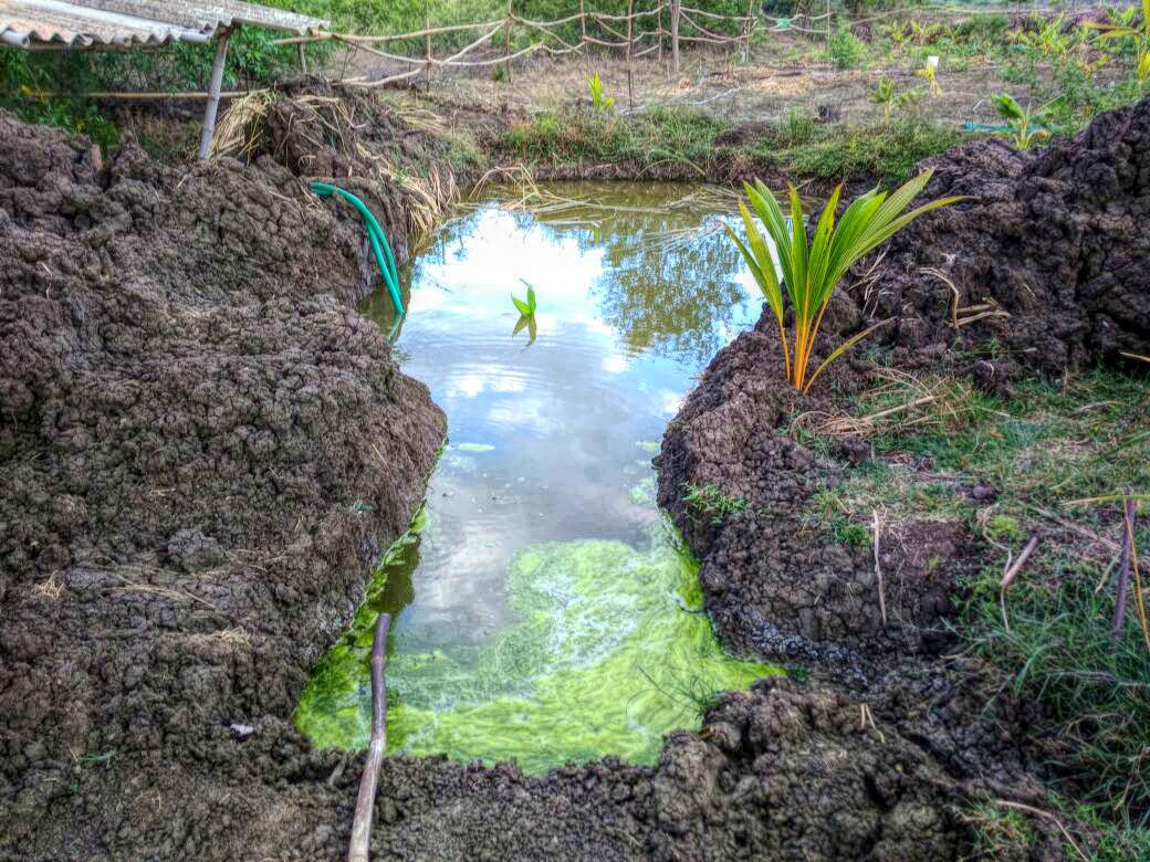 these farmers have crafty fixes to beat tamil nadu s drought