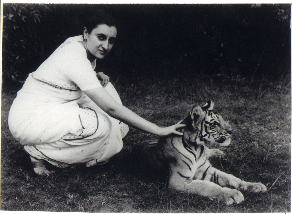 indira gandhi a life in nature is a memoir of her emergence as an environmental advocate