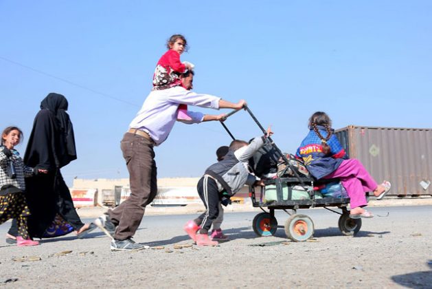 iraq  yemen and syria account for half of the world s civilian deaths