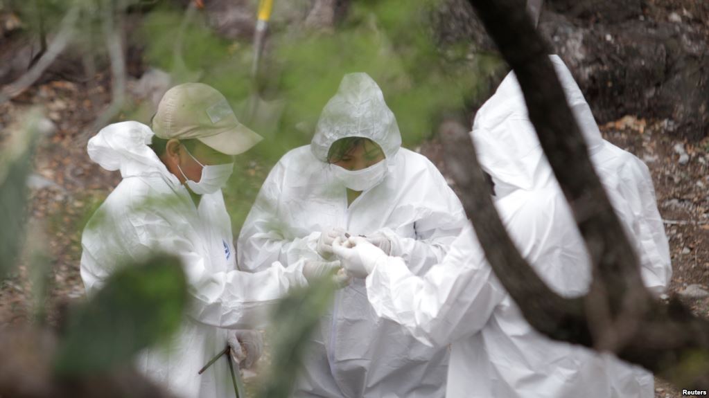 mexico  fourteen bodies unearthed in mass grave near los cabos resort