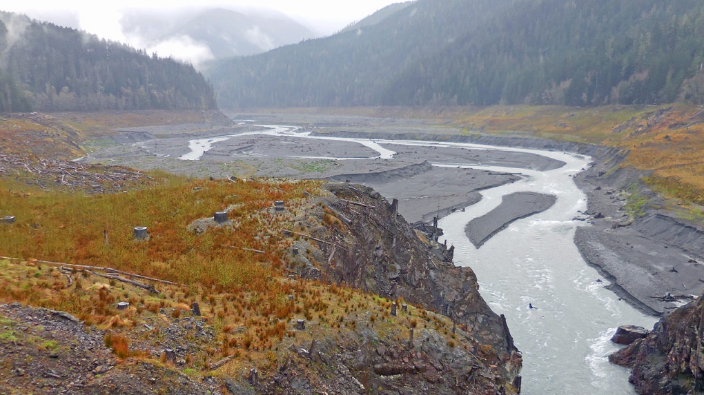 Real World Dem Rivers How Dams Deprive the World's Rivers of Sediment - The Wire