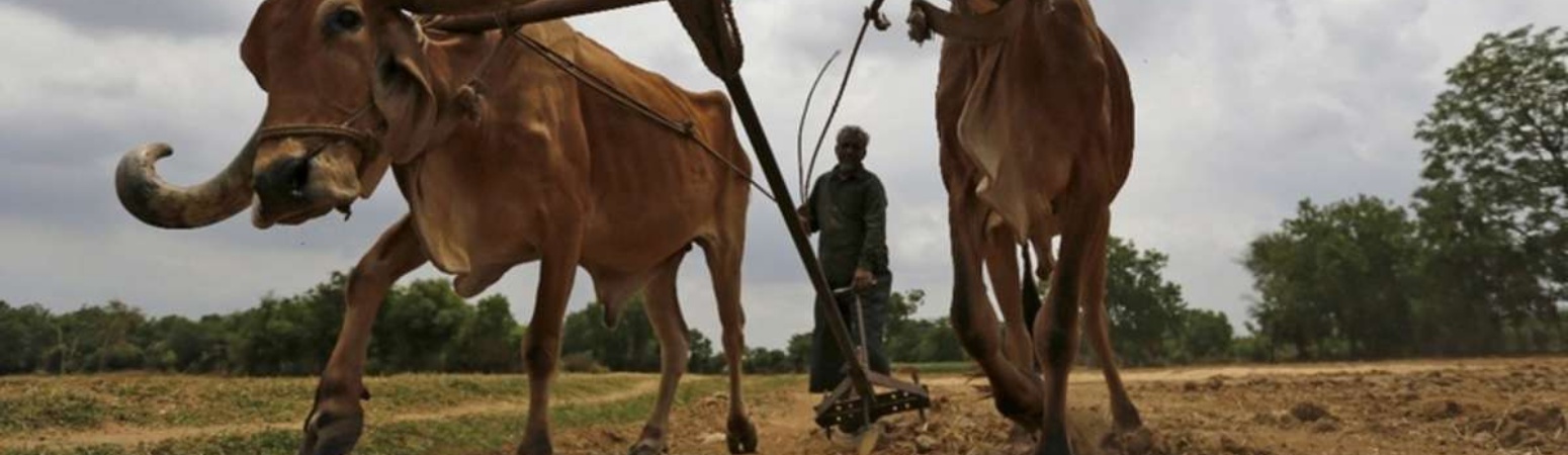 farm subsidies  direct transfers are mixed at best  debilitating at worst