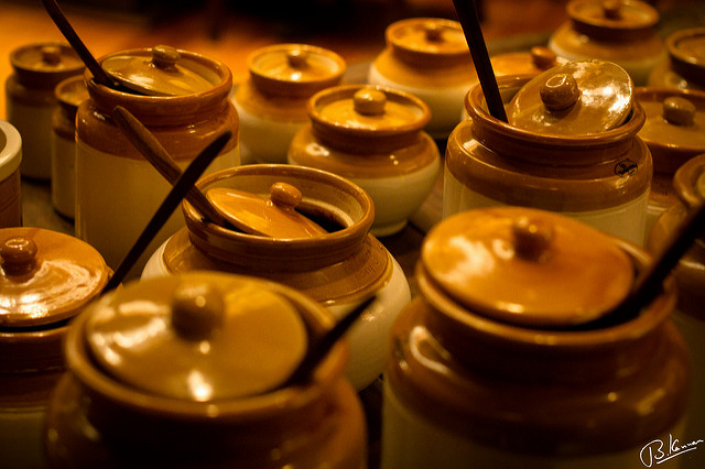 name place animal thing  of sexist  political and emotional food