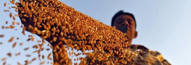 why india must go beyond loan waivers to free farmers from debt