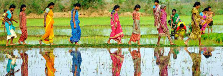 the story of a pioneer who sought to quantify inequality in india