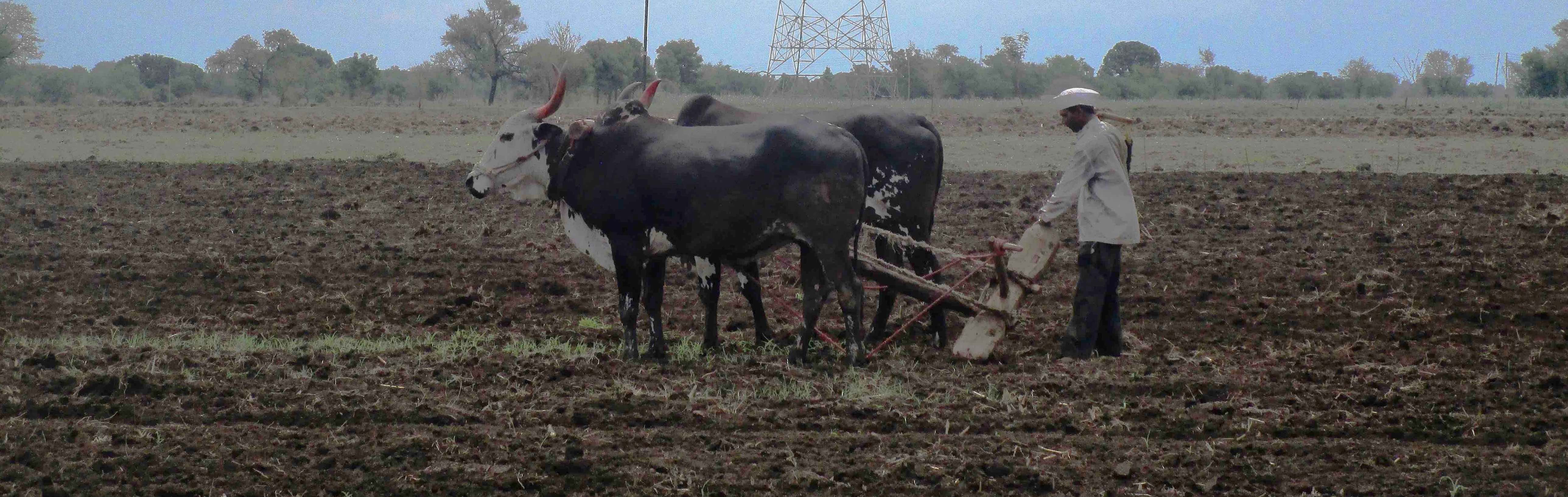 small farmers of latur  of  water train  infamy  doubt new loan waiver scheme will help