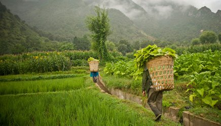 the man who hates banks and the demon of demonetisation