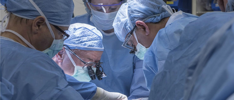 indian regulators have cleared the way for uterus transplants without sufficient research