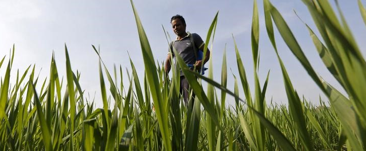 eco friendly  low cost farming the way to go for sustainable food security