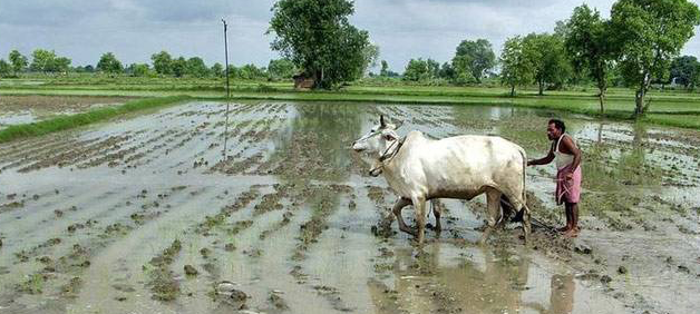 successful eco friendly farmers highlight need for policy changes