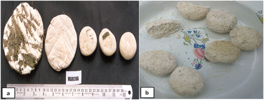 ethnic fermented foods help preserve some bacteria and fungi