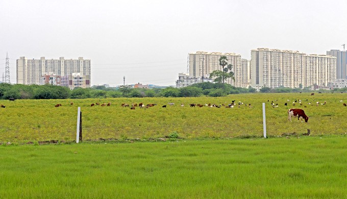 Parched Chennai Suffers as Water Mafia Tightens Hold