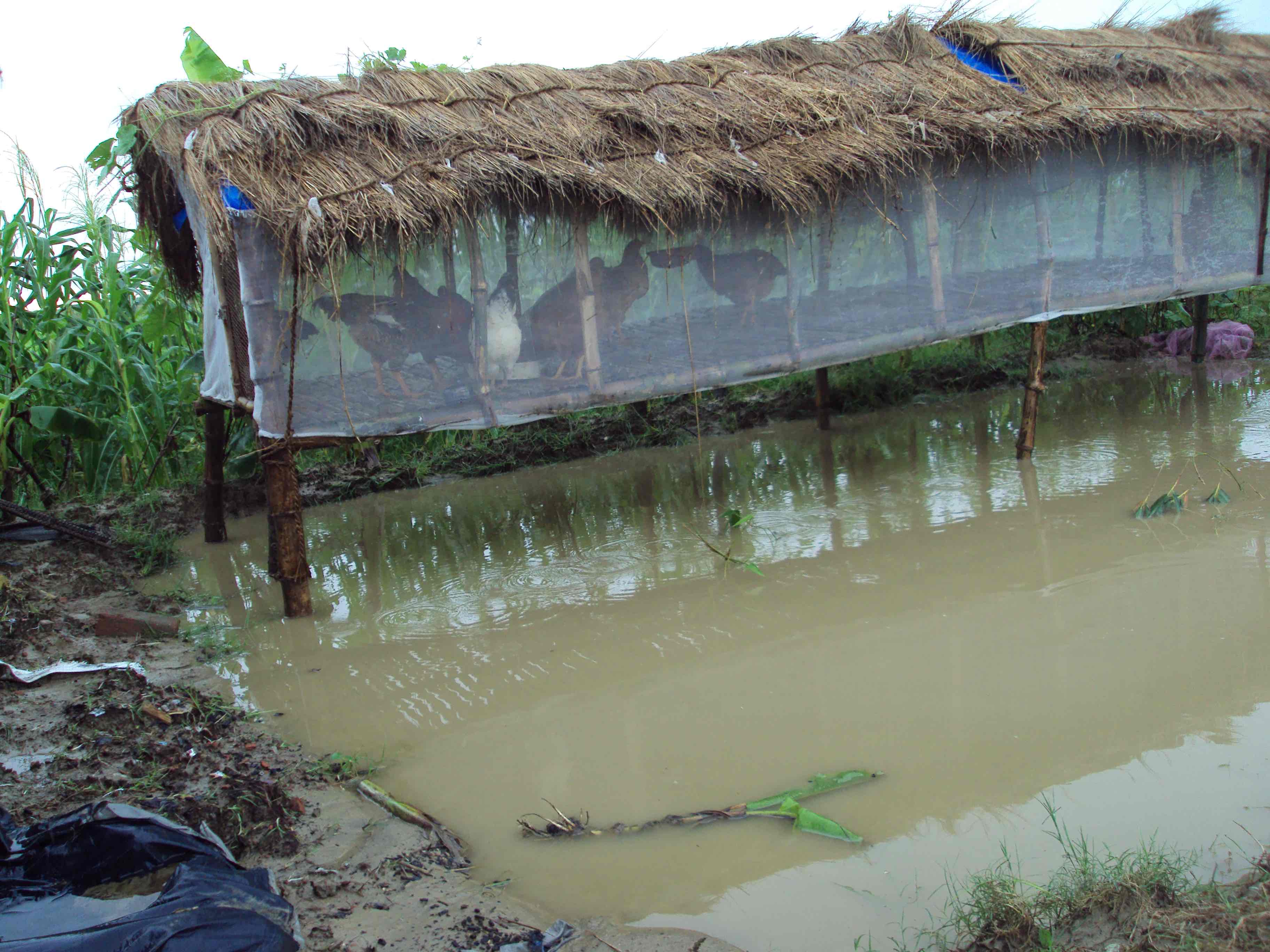 restoring livelihoods in villages after floods