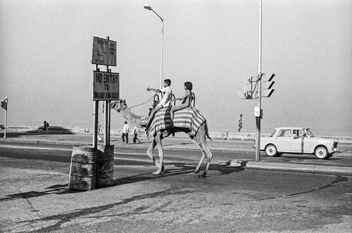 Camel on Marine Drive, Bombay 1977. Image Copyright ©Sooni Taraporevala, Image Courtesy: Sunaparanta