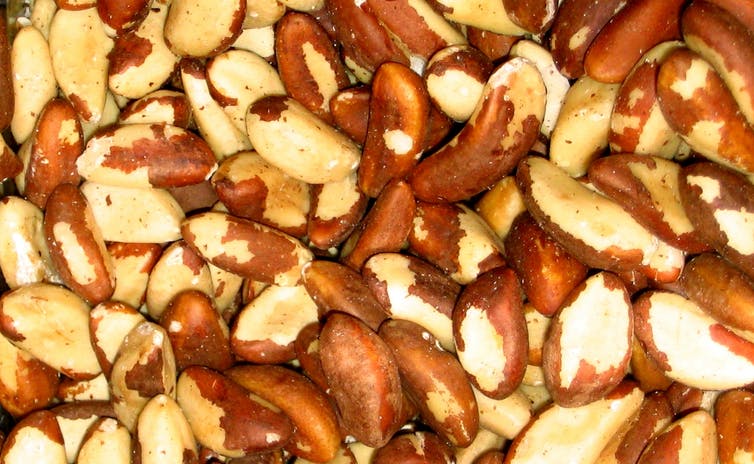 why brazil nuts are rocketing in price