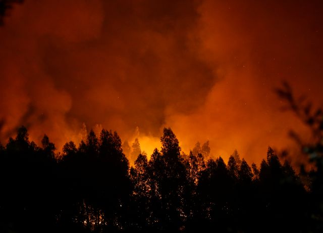 at least 39 killed in wildfires in portugal and spain