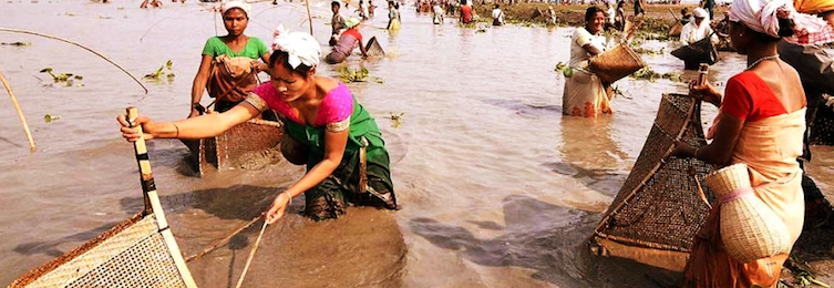 ‘i draw all my characters from the real world’ how homen borgohain documents assamese life