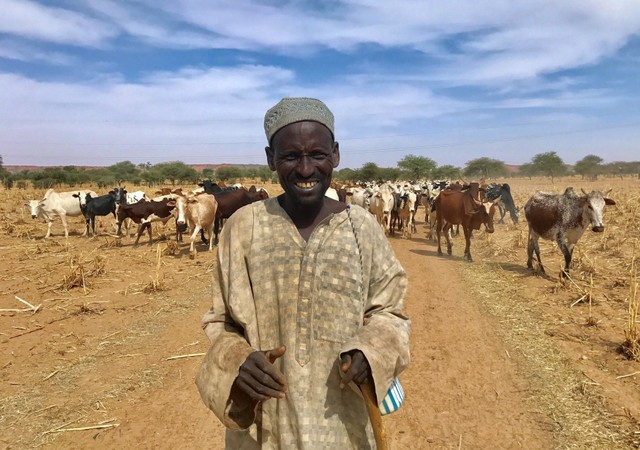 why are niger and mali s cattle herders turning to jihad 