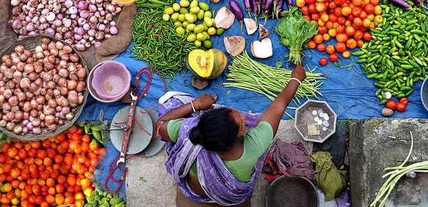 the international organisation that is preserving and reviving native seeds in india