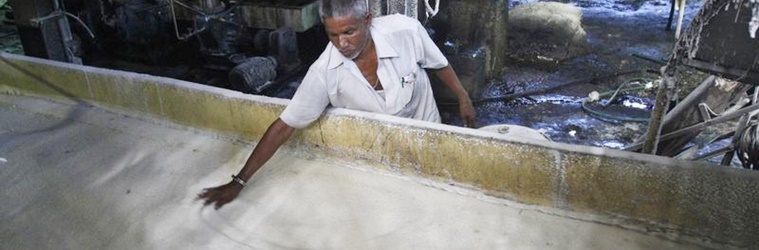 in uttar pradesh and maharashtra s sugar alliance  a sweet mixture of politics and business