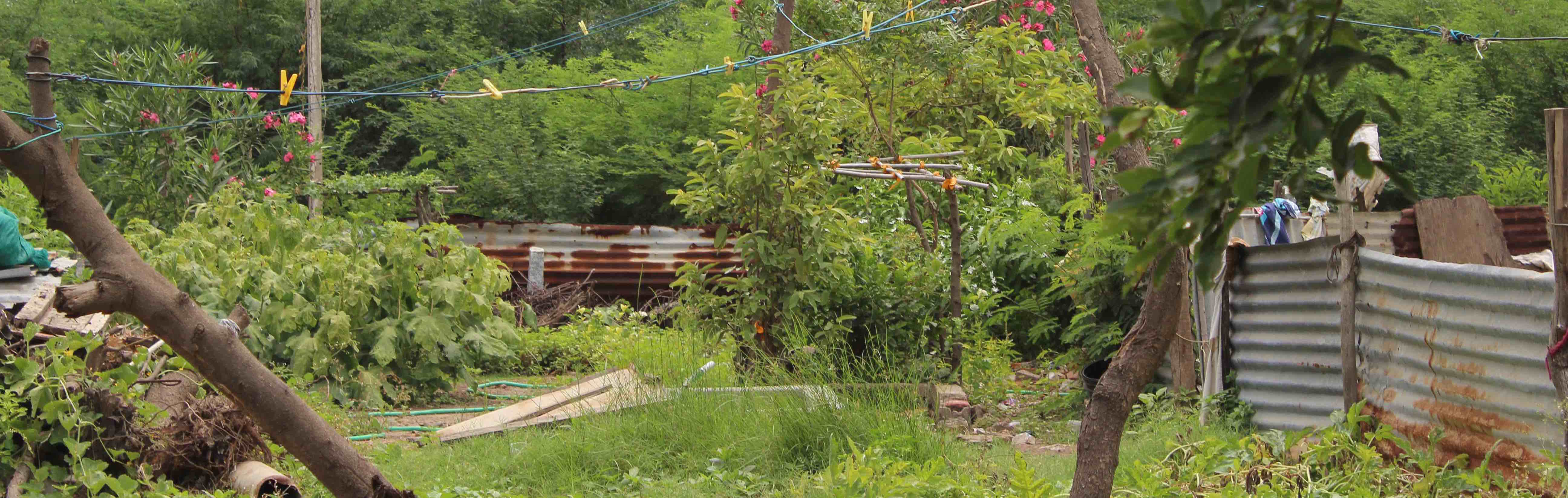 the curious disappearance of the ennore creek