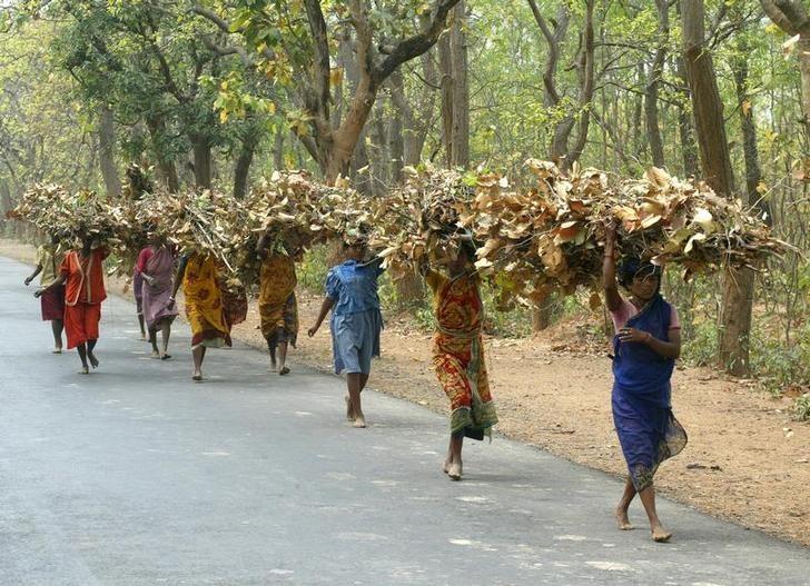 Tribal women carry bundles of twigs and leaves near Shantiniketan, 150 km northwest of Calcutta. Credit: Reuters