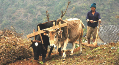 Tillage and ploughing. Source: Practical Action
