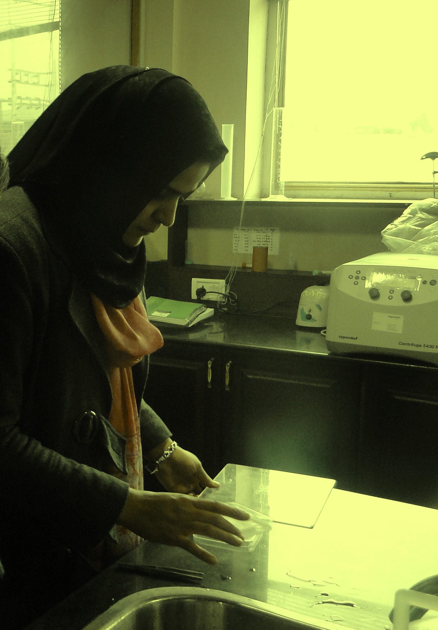 Hina Bhat at work in her lab at SKUAST. Source: Author provided