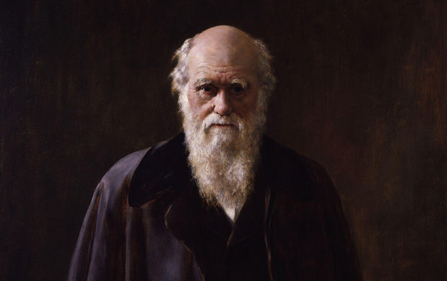 Charles Darwin. Credit: Wikimedia Commons