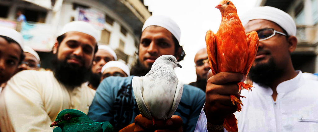 Muslims hold pigeons during a march to celebrate India’s Independence Day in Ahmedabad, India, August 15, 2016. Credit: Reuters
