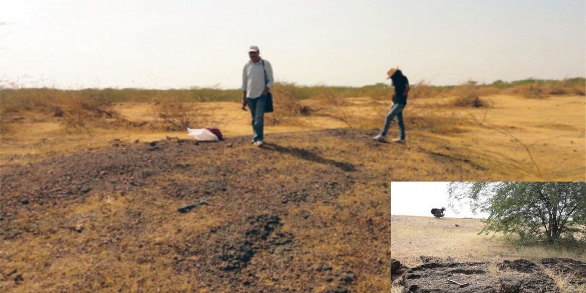 Indian Scientists Unearth First Evidence of Ape Presence South of ...