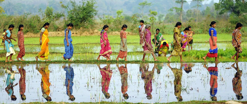 Women working in the rice paddy fields. Credit: Trócaire/Justin Kernoghan/Flickr