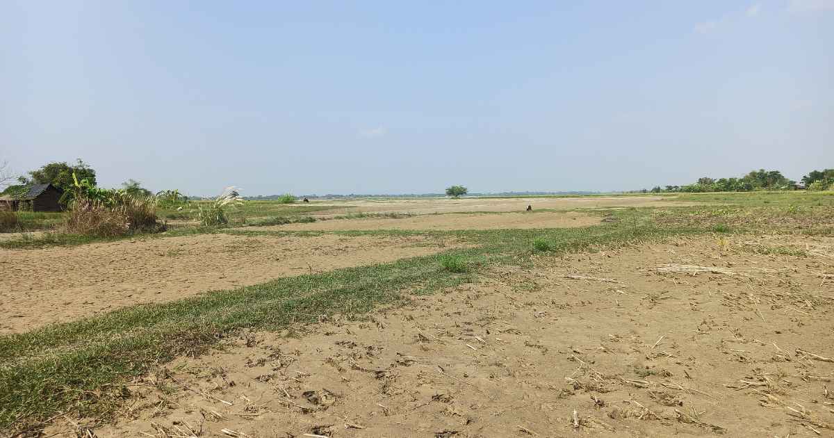 Bihar floods Crops destroyed