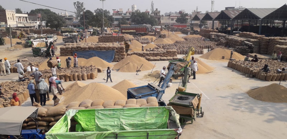 mandi procurement centre