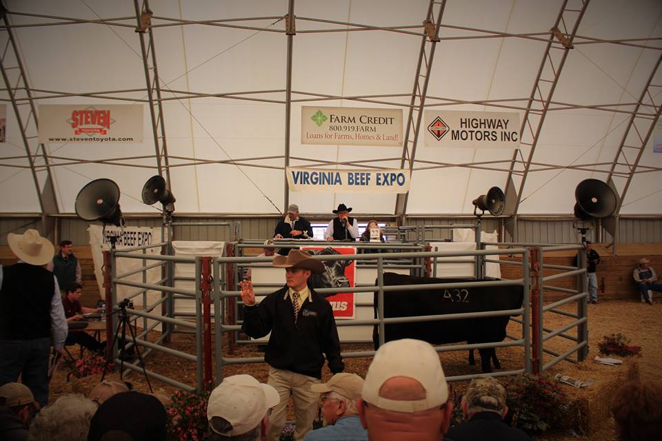 Beef industry in the US