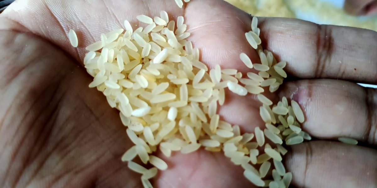 Dusty Ration Raw Rice Years After Giving Fortified Rice as Ration to the Poor, Govt Halts ...