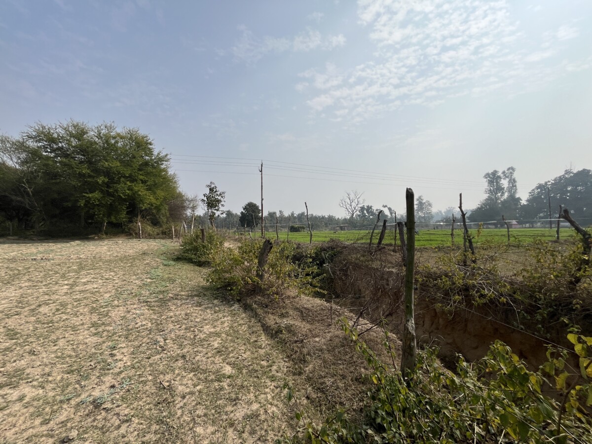 Parallel, land owned by Van Gujjar and Pahadi individuals in Tumadiya Khatta.