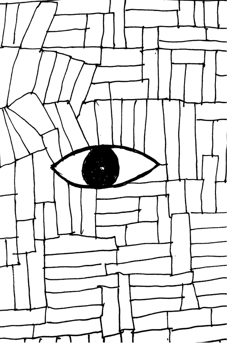 Illustrations by Sankarshan Thakur in 'Salt and Pepper: Dispatches from a Fractured Republic'. Photo: Seagull Books