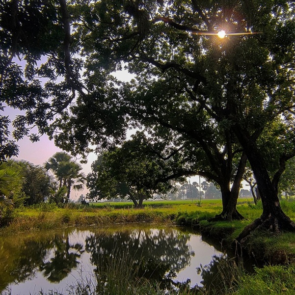 Chhath worship is meant to express gratitude to the Sun God. Chhath 2024 in Bihar.