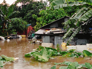 Floods across North Bengal. Photo: By arrangement.