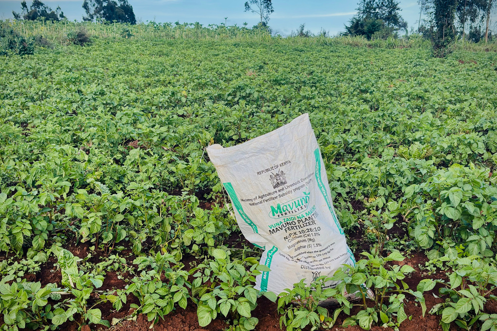 A Global Fertiliser Shortage Now Threatens Food Prices - The Wire